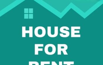 2 room flat/apartment with attached western toilet and kitchen available for rent in Greendale Road, Tadong.