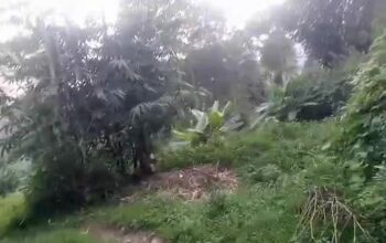 General land for sale in Luing, measuring 40 by 40, priced at 55 lakhs (slightly negotiable).