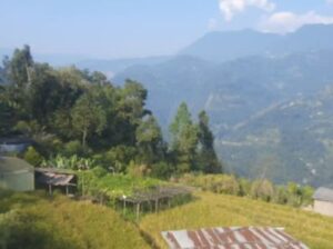 3 acre BL roadside land for sale.