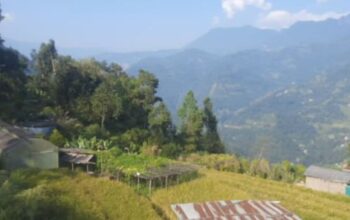 3 acre BL roadside land for sale.