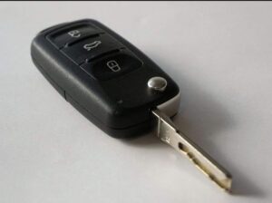 Baleno car key lost near Dikchu Bazar, reward offered.