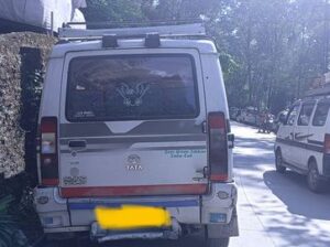 Sumo Gold for sale in Gangtok.