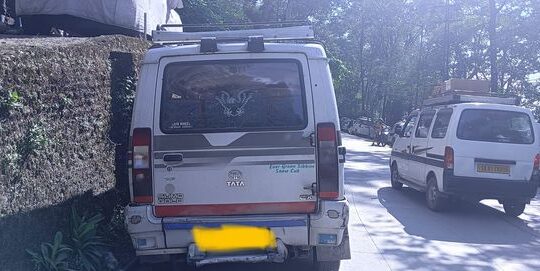 Sumo Gold for sale in Gangtok.