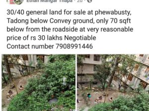 General land for sale at Phewabusty, Tadong.