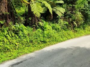 General land for sale near BSC Road.