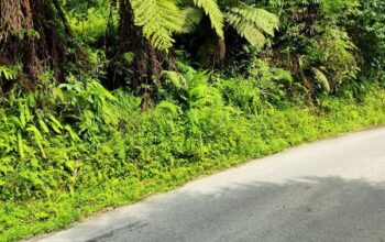 General land for sale near BSC Road.