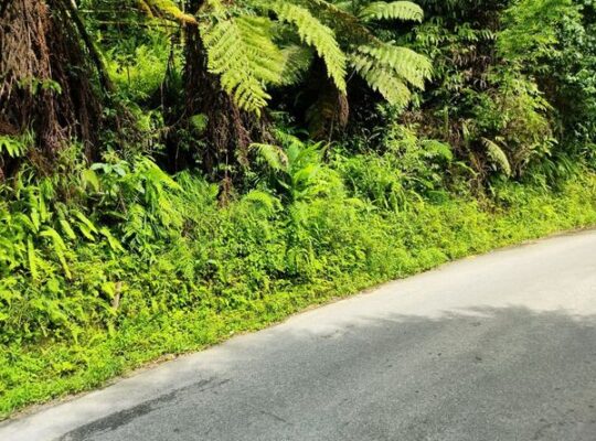 General land for sale near BSC Road.