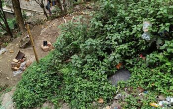 A 30/40 general land is for sale at Phewa Busty, Tadong, below Convey ground, only 70 sqft below from the roadside, for a negotiable price of Rs 30 lakhs.