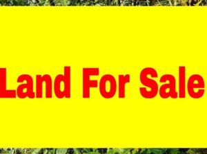 Highly commercial general land for sale near Pakyong DAC Office.