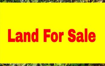 Highly commercial general land for sale near Pakyong DAC Office.