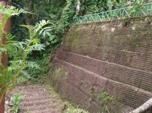 Land with an RCC wall and a cottage house is for sale in Samdur, Gangtok, with an approximate size of 50/60.