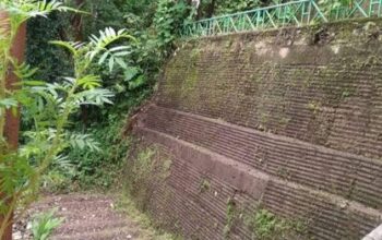 Land with an RCC wall and a cottage house is for sale in Samdur, Gangtok, with an approximate size of 50/60.