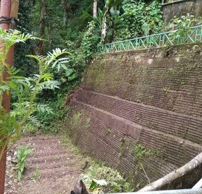 Land with an RCC wall and a cottage house is for sale in Samdur, Gangtok, with an approximate size of 50/60.