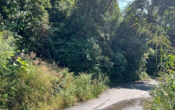 General roadside land for sale in Ranka Lower Lingdum.