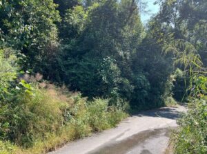 General roadside land is for sale at Ranka Lower Lingdum, with a total area of 14400 sqft.