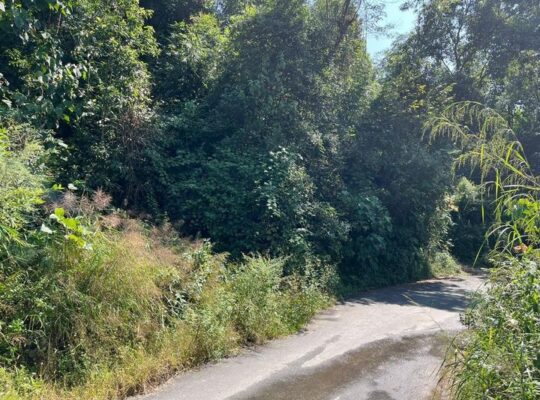 General roadside land is for sale at Ranka Lower Lingdum, with a total area of 14400 sqft.