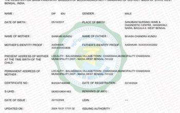 Online application service for birth certificates is available, requiring documents like father and mother’s Aadhaar card, voter card, and discharge paper.