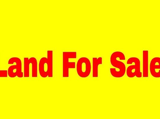 A fully commercial roadside general land, measuring 35/40, is for sale in Singtam (Aadarsh Gaon) for 49 lakhs, suitable for residence, rents, investment, PG, offices, coaching centers, or any commercial purpose.