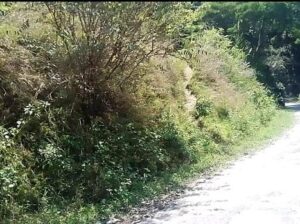 General land, measuring 120/30, is for sale roadside in Salghari, South Sikkim, for a negotiable price of 10 lakhs.