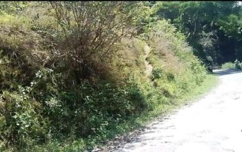 General land, measuring 120/30, is for sale roadside in Salghari, South Sikkim, for a negotiable price of 10 lakhs.