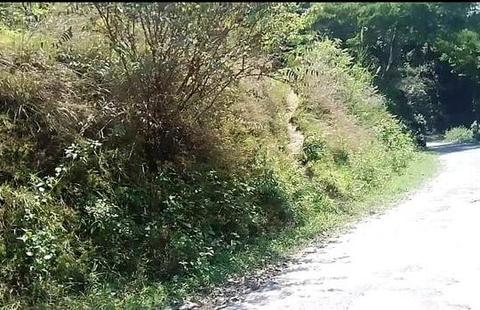 General land, measuring 120/30, is for sale roadside in Salghari, South Sikkim, for a negotiable price of 10 lakhs.