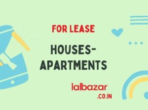 Luxurious PG available on main road in Development Area, offering breakfast, lunch, dinner, TV, mini-fridge, WIFI, geyser, and wardrobe.