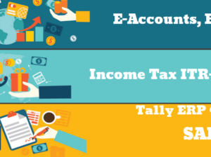 Job Oriented Accounting Course in Delhi, 110038, [GST Update 2024] by SLA. GST and Accounting Institute, Taxation and Tally Prime Institute in Delhi