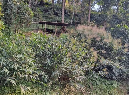 A 60 by 60 roadside land on Ahao andhari pmgsy road is for sale.