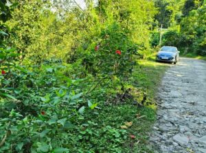 Road side general land in Assam Lingzey Sawreni for sale.