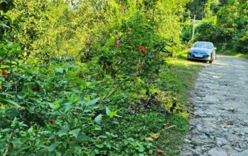 Road side general land in Assam Lingzey Sawreni for sale.