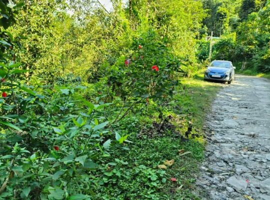 Road side general land in Assam Lingzey Sawreni for sale.