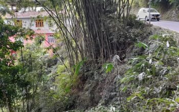 General land for sale at Rawtey Rumtek, 4 km from Mayfair Fatak, land size 90×90.