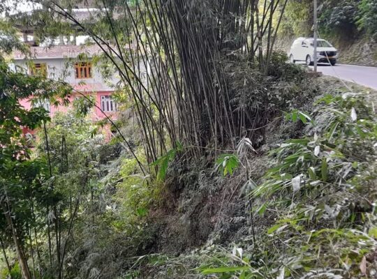 General land for sale at Rawtey Rumtek, 4 km from Mayfair Fatak, land size 90×90.