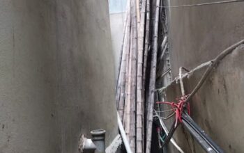 Bamboo is for sale at a reasonable price.