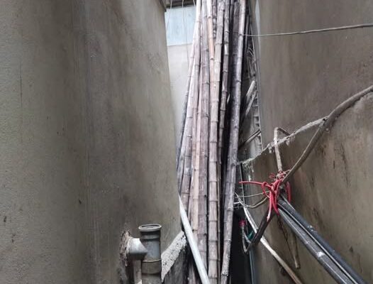 Bamboo is for sale at a reasonable price.