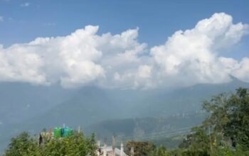 1.5 acre land is for sale at Dummi Goan.