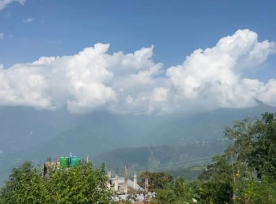 1.5 acre land is for sale at Dummi Goan.