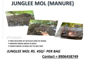 JUNGLEE MOL (MANURE) is available for free delivery.