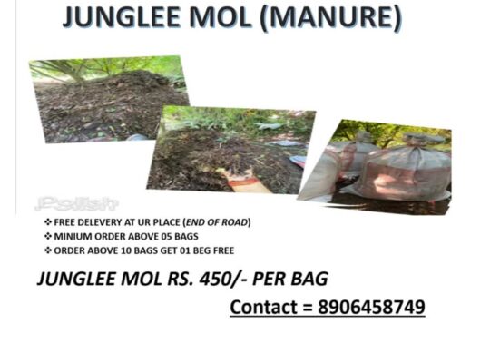 JUNGLEE MOL (MANURE) is available for free delivery.