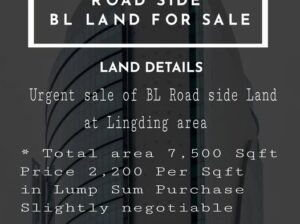 BL roadside land is for sale in the Lingding area of Gangtok.