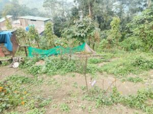 Roadside land is available for sale on the highway NHIDCL Ranipool to Pakyong road in Sikkim.