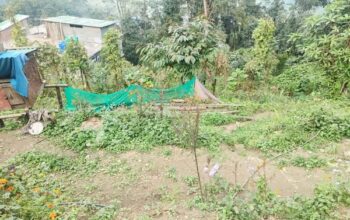 Roadside land is available for sale on the highway NHIDCL Ranipool to Pakyong road in Sikkim.