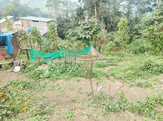 Roadside land is available for sale on the highway NHIDCL Ranipool to Pakyong road in Sikkim.