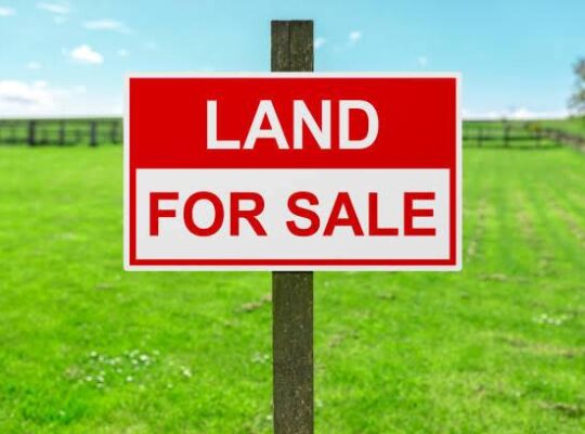 BL Land for sale in Upper Nandok.