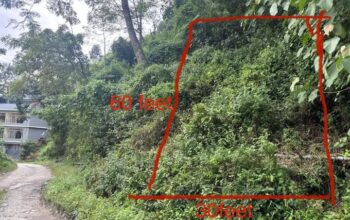 General land for sale at Nandok Nimthang road.