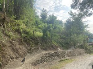 60×80 roadside land for sale in West Sikkim – suldung kamling GPU for 5 lakhs.