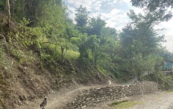 60×80 roadside land for sale in West Sikkim – suldung kamling GPU for 5 lakhs.