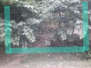 General land, 30×40, for sale near Macleods company, roadside.