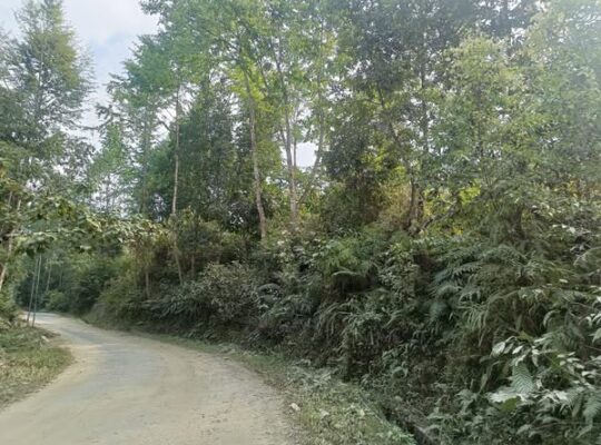 Road side land for sale near Saramsa garden.