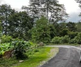 Land for Sale in Rumtek